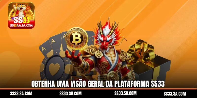 Obtenha uma visão geral da plataforma SS33